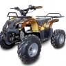 Квадроцикл GreenCamel Атакама T120 (48V20Ah 800W R8 Цепь)