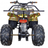 Квадроцикл GreenCamel Атакама T120 (48V20Ah 800W R8 Цепь)
