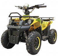 Квадроцикл GreenCamel Гоби K40 (36V 800W R6 Цепь) быстросъем