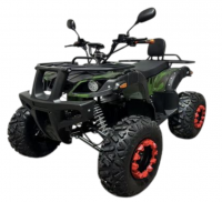 Электроквадроцикл ATV IKINGI NEW 225