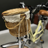 Электровелосипед Elbike MONRO (C12)