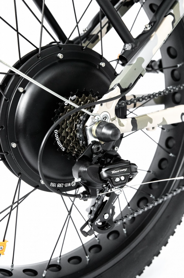 Электровелосипед Elbike PHANTOM Twix cam (C58)