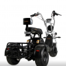 Электротрицикл IKINGI X1 PRO TRIKE