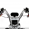 Электротрицикл IKINGI X1 PRO TRIKE