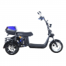 Электротрицикл Skyboard MyRussia BR60 3000W