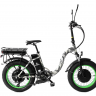 Электровелосипед Elbike TAIGA 1 Twix 2000 cam(C31T)