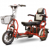Электротрицикл Elbike Адъютант Double Twix (a4)