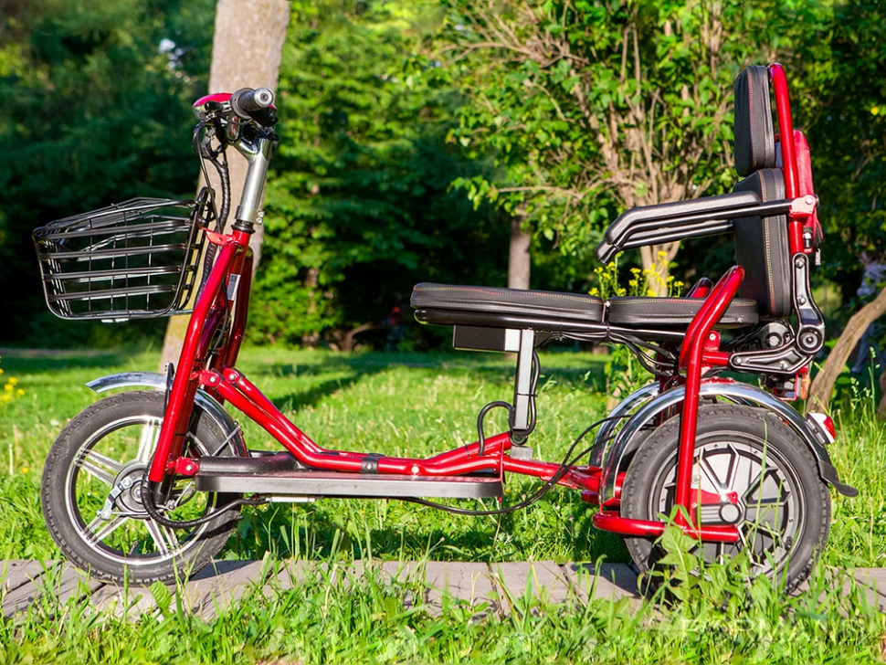 Электротрицикл Elbike Адъютант Double (a3)