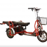 Электротрицикл Elbike Адъютант Double (a3)